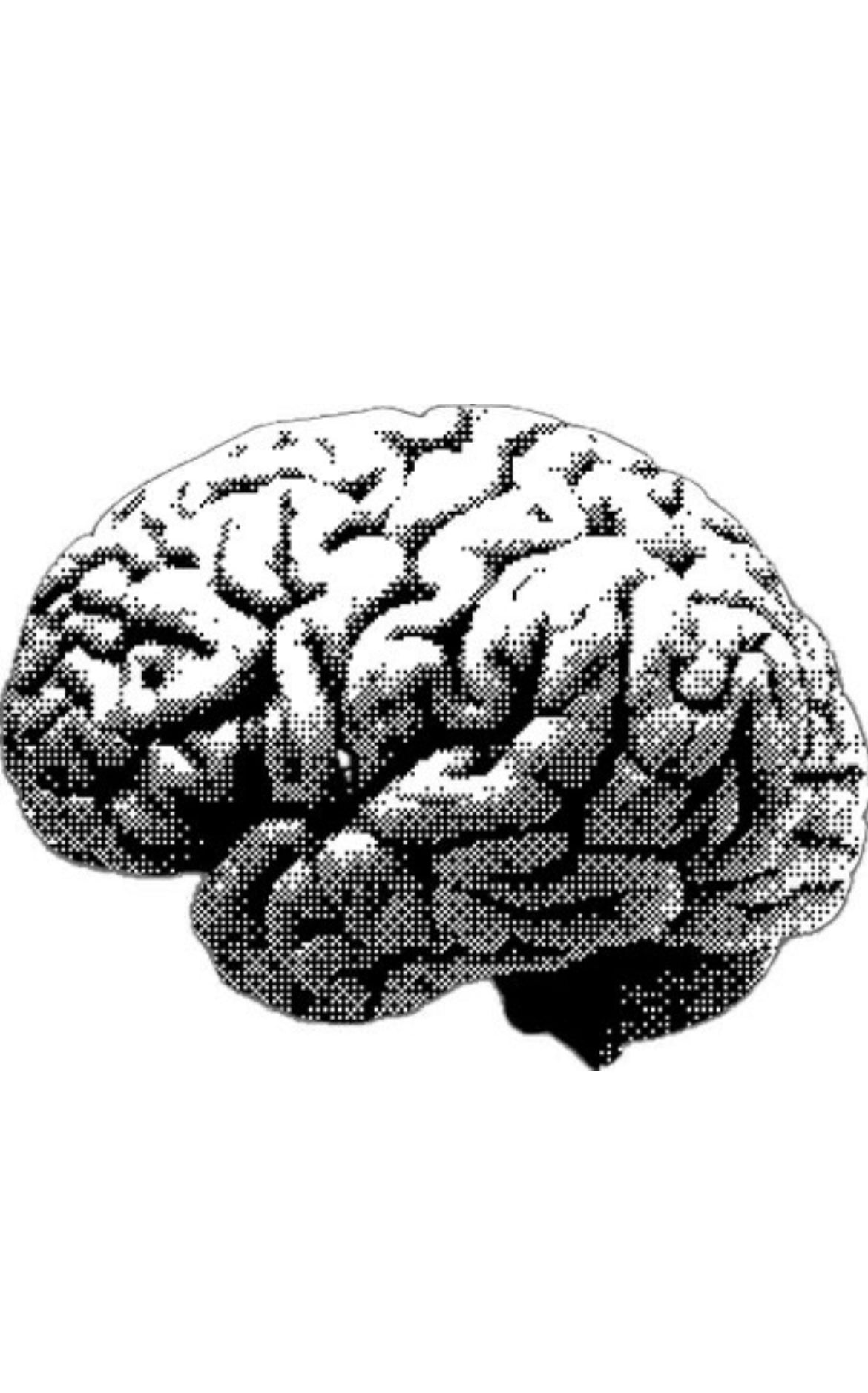 CUSTOM CRANIUM COVERING *BALANCE*